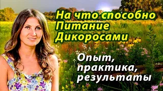 Инна Родионова, На что способно питание дикоросами. Опыт, практика, результаты. (видео 294)