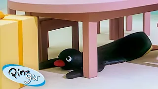 Pingu is Curious 🐧 | Pingu - Official Channel | Cartoons For Kids