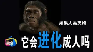 如果地球上所有人都死了，人类会再从猿猴开始进化吗？