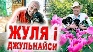 Жулька і Джульнайси/Хто найкращий сторожовий собака? Факти про Жулю/Собака фан - Жулька і горіхи/Dog