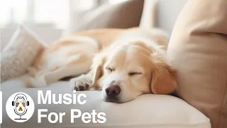 Soothing Music for Dogs to Calm Down, Relax & Sleep | Dog Music Therapy Calming Aid for Relaxation