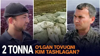 Soyga tashlab ketilgan tovuqlar nimadan oʻlgani nomaʼlum