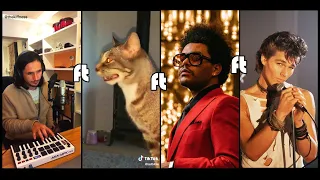 The Kiffness X Sneeze Cat X The Weeknd X Morten Harket (A Beatbox Cat Remix)