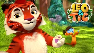 Leo and Tig 🦁 Lost 🐯 All episodes in row 🦁 Funny Family Good Animated Cartoon for Kids