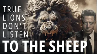 Escaping The Herd Mentality: Why Lions Ignore The Sheep