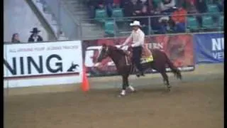 Sailin Little Par - Reining Futurity 2008