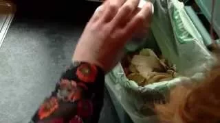 Beginners guide to food waste recycling