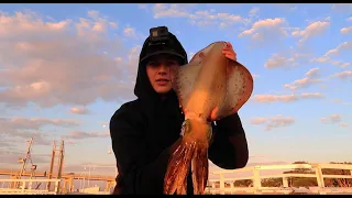 Catching GIANT Squid Off The Jetty