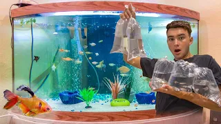 BUYING ALL EXOTIC Fish In The AQUARIUM! **Awesome**