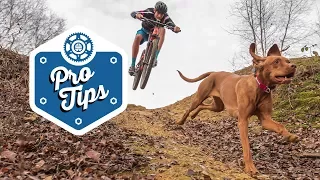 How To Train A Trail Dog - Featuring Tom & Ruby