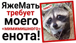 ЯжеМать требует моего енота 😕