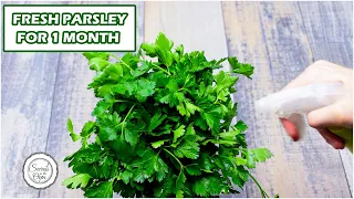 How To Keep Parsley Fresh For 1 Month In The Fridge