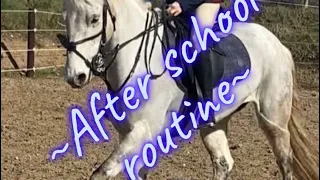 ~After school routine ~ mucking out tack in my up and lunging!!