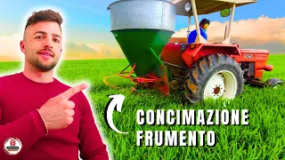 ULTIMA CONCIMAZIONE FRUMENTO