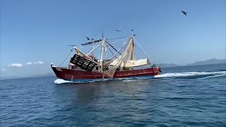 Panorama difícil avisora CANAINPESCA para temporada de pesca de camarón