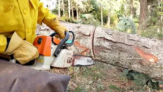 This Technique Could Save Your Chainsaw