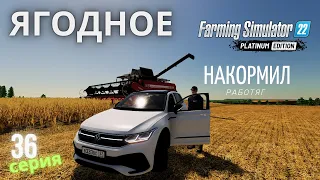 FS 22 ЯГОДНОЕ Накормил работяг, купил комбайн GS3219 @36 Глава II | Приключения деда Фёдора | #FS22