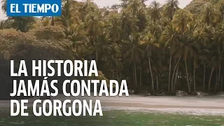 Isla Gorgona de Colombia: La historia jamás contada | El Tiempo