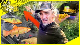 UNBEKANNTER WALDSEE ‼️ Welche Fische kann ich FANGEN❓Karpfen und Hechtangeln am neuen Gewässer