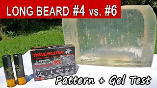 Winchester Long Beard XR #4 vs #6 Ballistics Gel Test & Pattern | Copper Plated Lead Turkey Shells