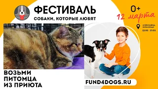 "ЭНЕРГОСНАБ" обеспечил энергией фестиваль "Собаки которые любят".