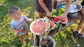 Вечер😊👍