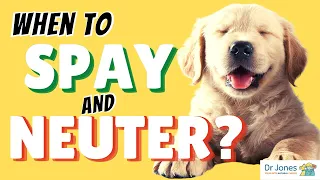 Don't Spay and Neuter Your Dog?