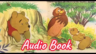 Audio Book Winnie the Pooh Stuck!