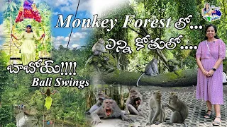 Bali monkey forest #stunning Bali swings #waterfall #holiday #family #fun