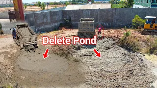 Delete Muddy Pond at the pagoda, bulldozer cat and 5T Dump truck