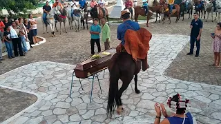 No Cariri: cavalo se despede do dono antes do sepultamento