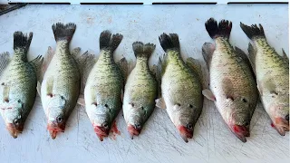 Crappie Fishing Out Of JON BOAT {Catch Clean Cook} LIVE SCOPE