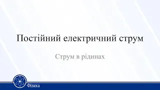 Постійний електричний струм. Струм в рідинах. Фізика 11 клас