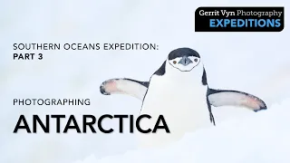 Photographing Antarctica || Icebergs, Penguins & Whales