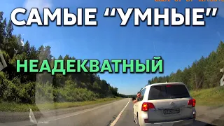 Подборка САМЫХ "УМНЫХ" водителей #550