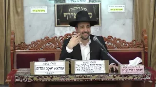 הרב מאיר אליהו  •  פרשת ויקהל פקודי •  מוסאיוף