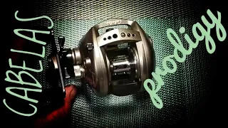 NGF#559 Cabelas Prodigy Она же Team Daiwa. 🦾Крепкая и💪 Мощная🛠️💤