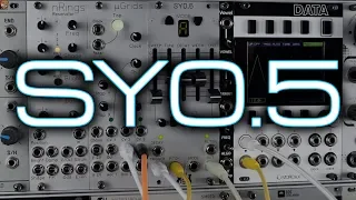 Michigan Synth Works SY0.5 - Pearl Syncussion Clone in Eurorack