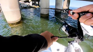 Jigging Flounder on Bridge Pilings + HOW TO - Flounder Catch and Cook