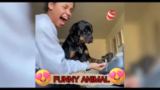 Funny Animal Videos 2022 😍   Funniest Cats And Dogs Videos,cute animal video, funny animals life #31