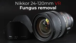 Nikkor 24-120mm VR : Fungus cleaning