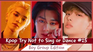 Kpop Try Not to Sing or Dance #25 || BOY GROUP EDITION!!