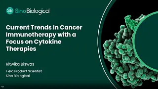 Current Trends in Cancer Immunotherapy with a Focus on Cytokine Therapies