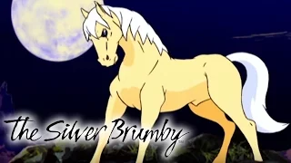 The Silver Brumby | Full Episodes 36-39 | 2 HOUR COMPILATION | Silver Brumby Full Season