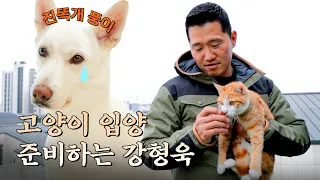 Dogs' president visiting Poong's family who live with cats [Not a Lonely Trainer EP.3]