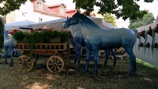 14 июля 2021 г. В гости к синим  лошадкам. Кафе Эланде. On a visit to the horses