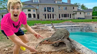 MASSIVE ALLIGATOR Caught in my BACKYARD SWIMMING POOL!!