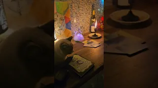 Таро Под Вино 🍷 🍷 🍷