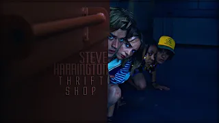 Steve Harrington | Thrift Shop