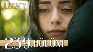 Emanet 239. Bölüm | Legacy Episode 239